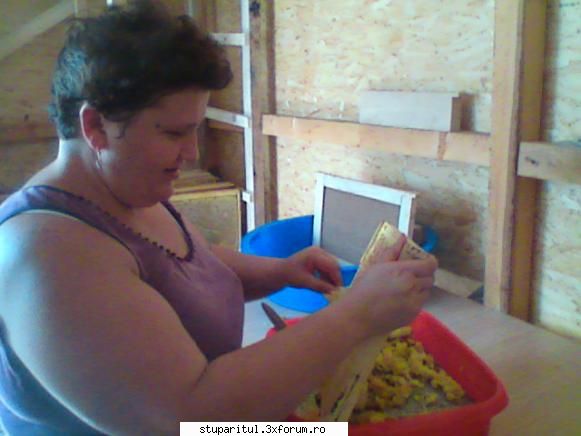 Familia va sprijina si v-ajuta cu placere in aceasta activitate ? - gmih - DISCUTII APICOLE DIVERSE