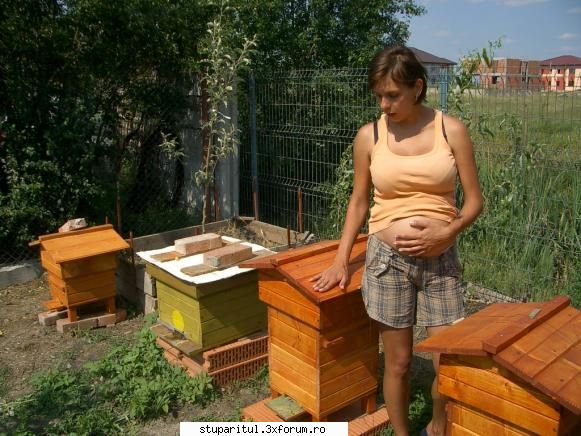 Familia va sprijina si v-ajuta cu placere in aceasta activitate ? - ma baieti, mese - DISCUTII APICOLE DIVERSE