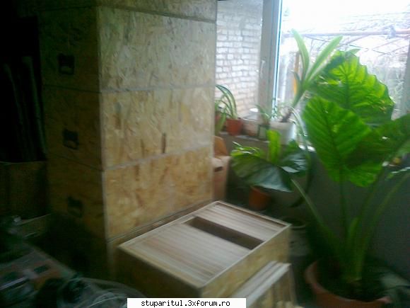 de vreo 3-4 zile, seara cate 2-3 ore, am inceput sa asamblez niste placi de osb pe care l-am taiat