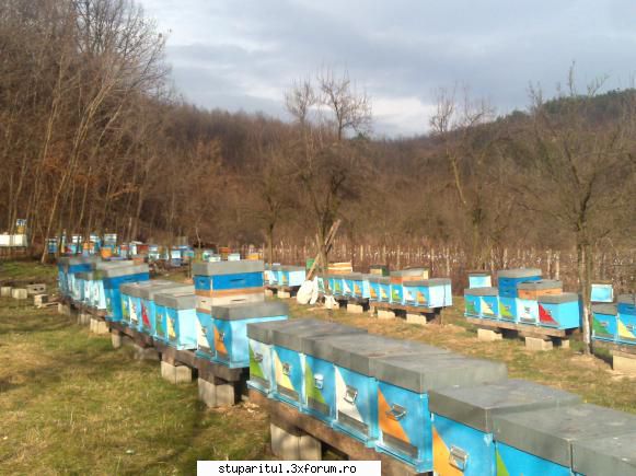 Fara cuvinte la salcam - Va salut,cu respect, E musai sa fie pe mana si - VIDEOCLIPUL SAPTAMANII