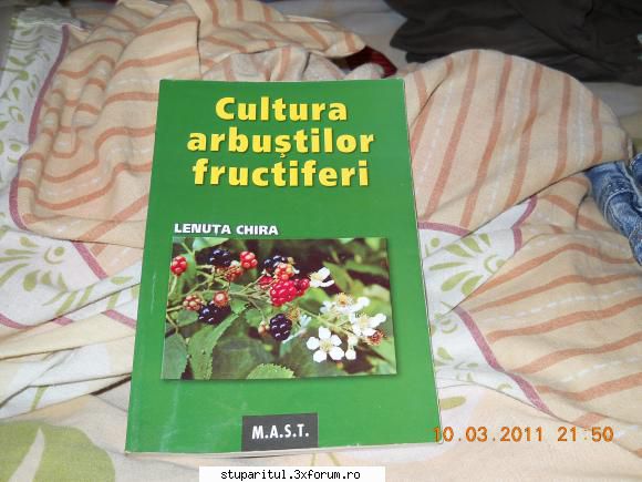 Fetitele mele dragi - bee happy eu zic sa faci rost de carte si daca - PAGINI PERSONALE ! CINE SUNT EU ?