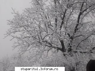 Florin - openmind - PAGINI PERSONALE ! CINE SUNT EU ?