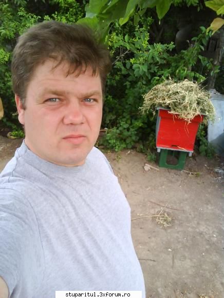 Florin simion-fotoklipa,incepator - Florin -berbec -35 ani -hooby - PAGINI PERSONALE ! CINE SUNT EU ?