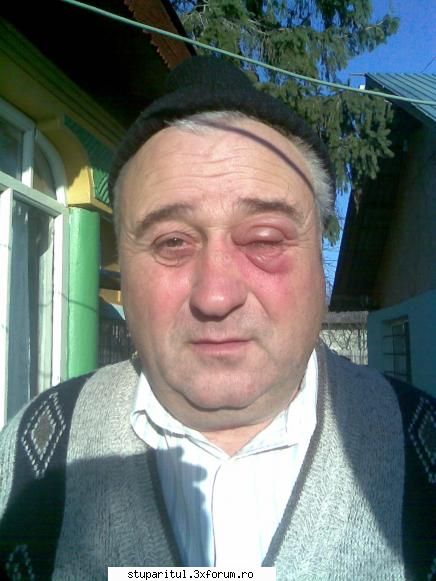 Florin simion-fotoklipa,incepator - Din dragoste pt. albine si prea multa - PAGINI PERSONALE ! CINE SUNT EU ?
