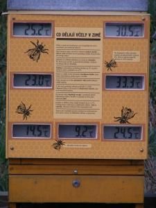 Folia; PRO &CONTRA - Data valorile din mijloc-jos reprezinta temp - INTRETINEREA ALBINELOR