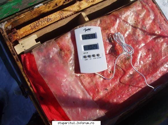 Folosim sau nu diafragma? - Afara au fost -12 La periferie -10 in ghem (fara - INTRETINEREA ALBINELOR