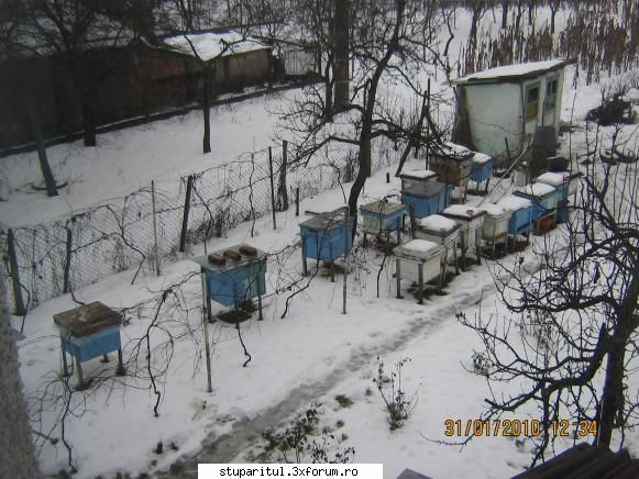 Folosim sau nu diafragma? - �n sprijinul �mpachetării pentru iernare am - INTRETINEREA ALBINELOR