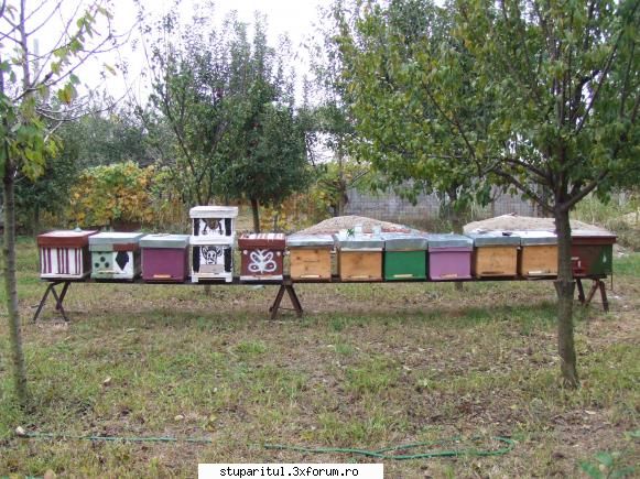 Freza - si de ansamlu azi sant facute - ECHIPAMENTE SI UTILAJE APICOLE