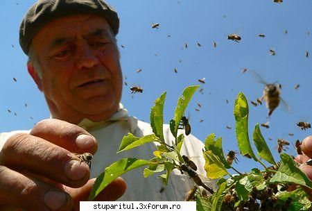 Frumoase poze nu? - Se imbraca in alb. Albul e bine tolerat de - POZE