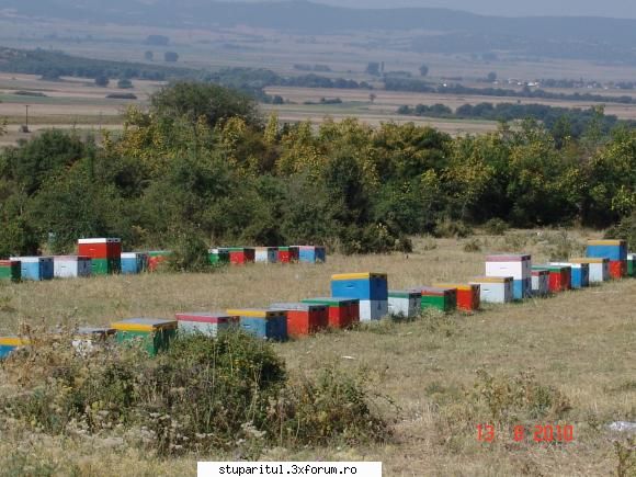 alta �n altă zonă ( nu mai ştiu unde) apicole de