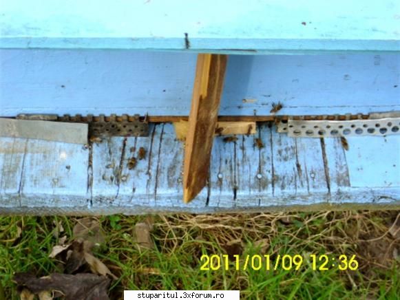 Hrănirea de necesitate(de salvare) - Şi 2. Lada veche dar fără - HRANIREA ARTIFICIALA