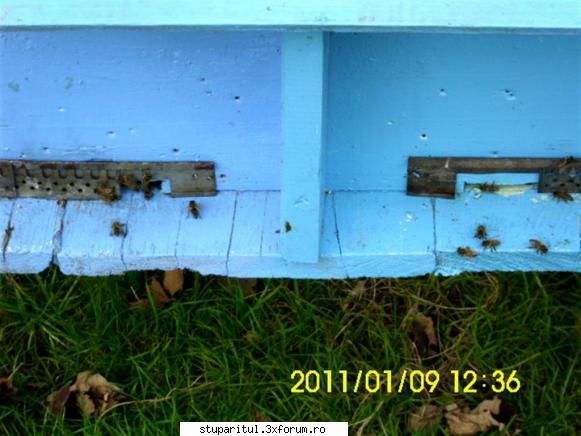 Hrănirea de necesitate(de salvare) - Şi 3. Curat. Dar se mai văd urmele - HRANIREA ARTIFICIALA