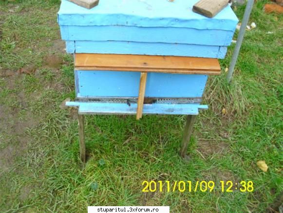Hrănirea de necesitate(de salvare) - Şi 6. E curată faţada? Valer - HRANIREA ARTIFICIALA