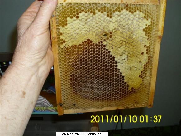 Hrănirea de necesitate(de salvare) - Domnule Gică, pentru a vă ajuta - HRANIREA ARTIFICIALA