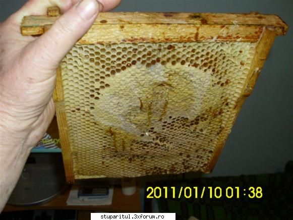 Hrănirea de necesitate(de salvare) - Pentru că nu sunt om rău vă - HRANIREA ARTIFICIALA