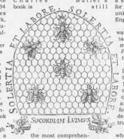 IMPERECHEREA albinei - Din cunostiintele mele de o buna bucata de vreme - CRESTEREA MATCILOR