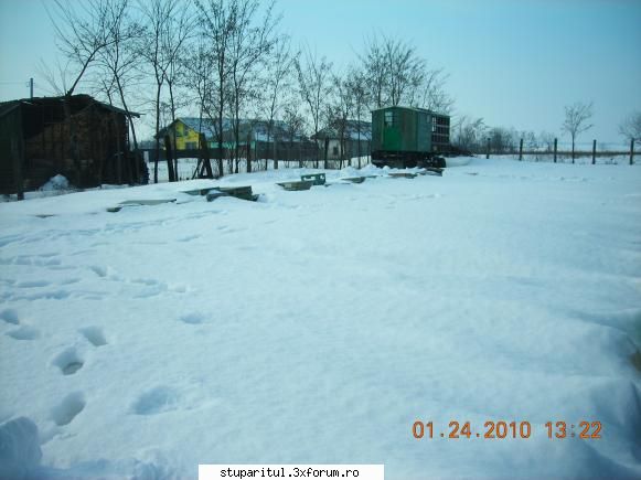 Iarna 2010 - viscolul a trecut - POZE
