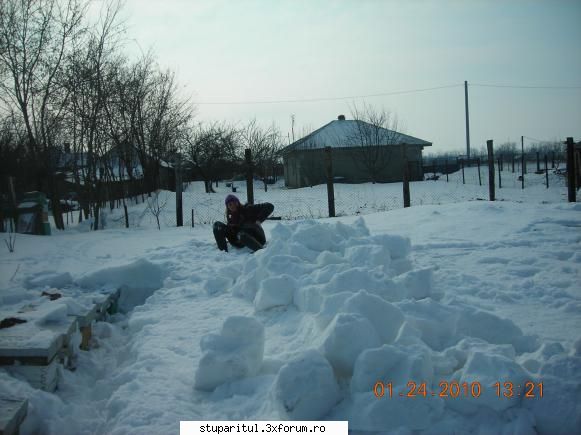 Iarna 2010 - nu vrem viscol!!!!!!!!!!! - POZE