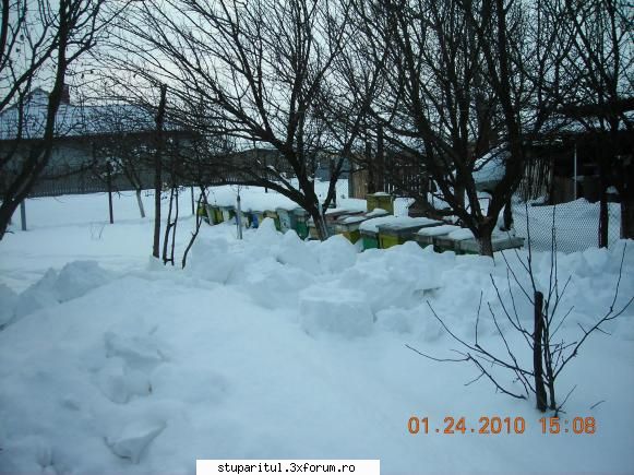 Iarna 2010 - Iarna nu-i ca vara!!! - POZE