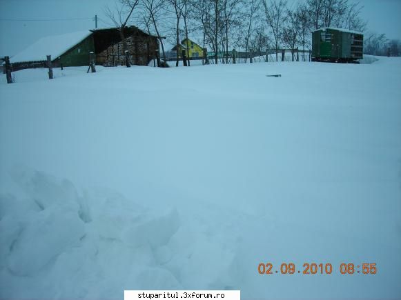 Iarna 2010 - E tot ce se mai vedea din 30 de familii - POZE