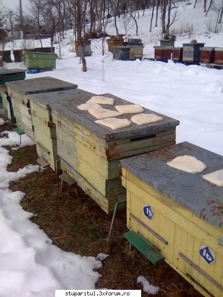 Iernare-sfaturi pentru �ncepători - Capacul stupului trebuie curatat de - PAGINA APICULTORULUI INCEPATOR