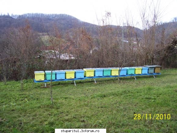 Iernarea/Prevenirea condensului - Acest detaliu �mi dă mie mari - INTRETINEREA ALBINELOR