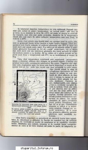 Iernarea/Prevenirea condensului - regret ca sunt cam ilizibile.Sunt in format A5 - INTRETINEREA ALBINELOR