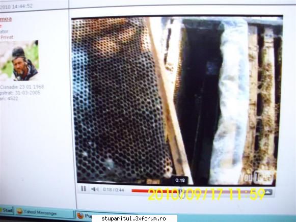 Iernarea combinată - Şi priviţi mucegaiul, domnule Guist - INTRETINEREA ALBINELOR