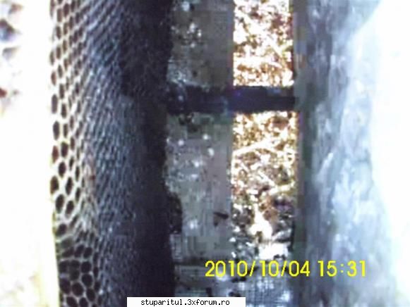 Iernarea combinată - Domnule Pupemea, regret că pozele v-au - INTRETINEREA ALBINELOR