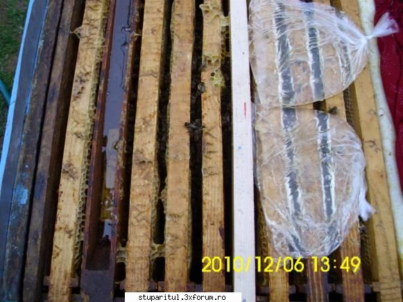 Iernarea combinată - �n 5 decembrie am făcut un control prin - INTRETINEREA ALBINELOR