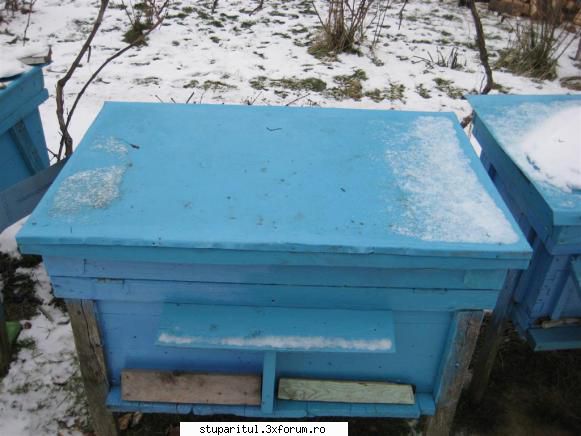 Iernarea combinată - La stupul cu două familii pe c�te 8 faguri - INTRETINEREA ALBINELOR