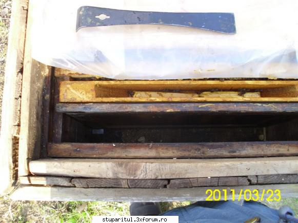 Iernarea combinată - La �mpachetarea tip clopot vaporii de apă se - INTRETINEREA ALBINELOR