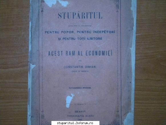 In cautarea unui titlu - dedicatie speciala pentru Donbazil : Sefule eu - CAFENEA - DISCUTII DESPRE ORICE