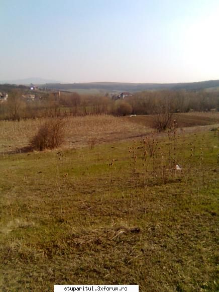 Incepator...dar pasionat - valea in prim plan..padurea in plan indepartat - PAGINI PERSONALE ! CINE SUNT EU ?