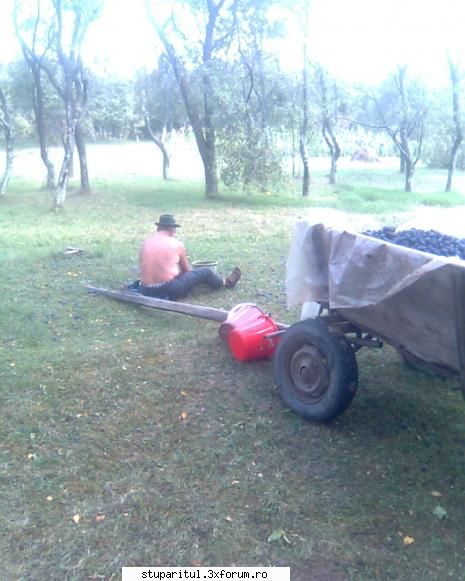 Incepator...dar pasionat - fiecare culege cum poate...bunicul meu - PAGINI PERSONALE ! CINE SUNT EU ?