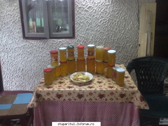 Incepator rau intreaba pe profesionisti II - hai sa va arat productia mea de - PAGINA APICULTORULUI INCEPATOR