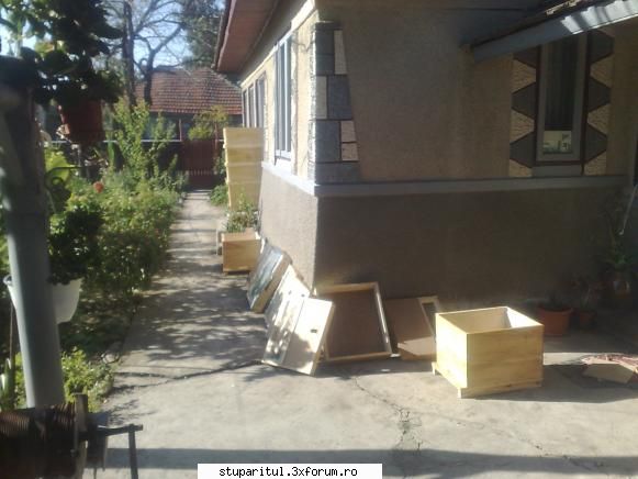 Incepator rau intreaba pe profesionisti II - victor s - PAGINA APICULTORULUI INCEPATOR