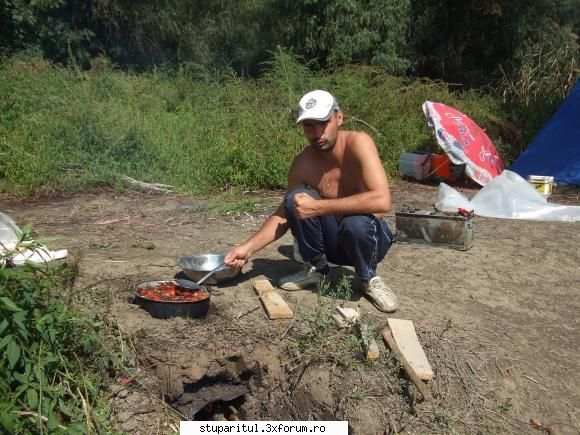 Incepator rau intreaba pe profesionisti II - si intr-o zi le-am pregatit de - PAGINA APICULTORULUI INCEPATOR
