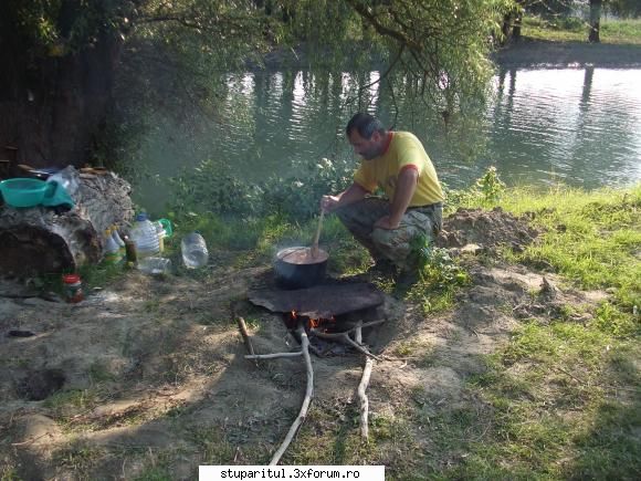 Incepator rau intreaba pe profesionisti II - Iar in rest mam cam saturat de - PAGINA APICULTORULUI INCEPATOR