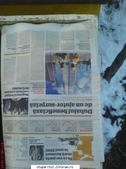 Incepator rau intreaba pe profesionisti II - acum poza cu ziarul care este - PAGINA APICULTORULUI INCEPATOR