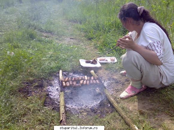 Incepator rau intreaba pe profesionisti II - Poftim ... la pofta :) - PAGINA APICULTORULUI INCEPATOR