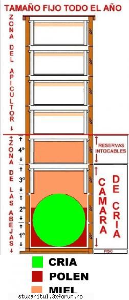 Inceputul Incepatorului - incearca acest sistem - PAGINA APICULTORULUI INCEPATOR
