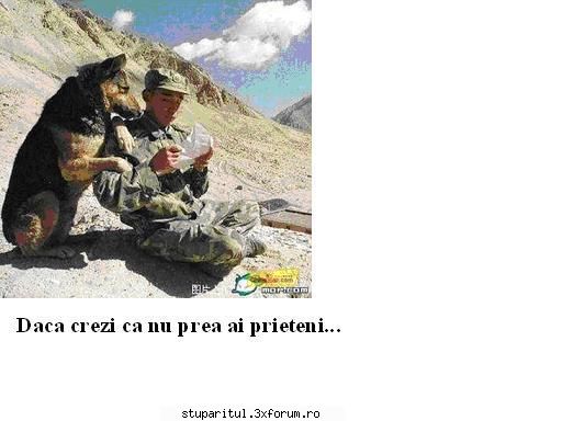 Interesant - Gicacontra - CAFENEA - DISCUTII DESPRE ORICE