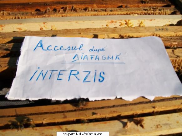 Interventiile in timpul iernarii - pt letsoc uite cum procedez eu pt a nu trece - INTRETINEREA ALBINELOR