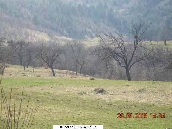 Jurnalul nostru zilnic - langa cateva hectare de meri - JURNAL DE APICULTOR - JURNALE PERSONALE