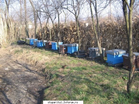 LA mine IN STUPINA - mihaitagom - POZE