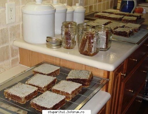 Linda poate,noi nu?Poze (3) - PRODUSELE ALBINELOR