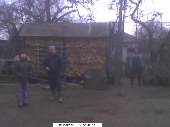 Lucrari la remorca - Meseriasi,nu puteau sa lipseasca + ajutorul meu - PLANURI....PLANURI....PLANURI.....