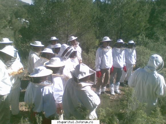 ME redus? - 7 martie 2009 curs de apicultura in ibiza ,poza - INTRETINEREA ALBINELOR