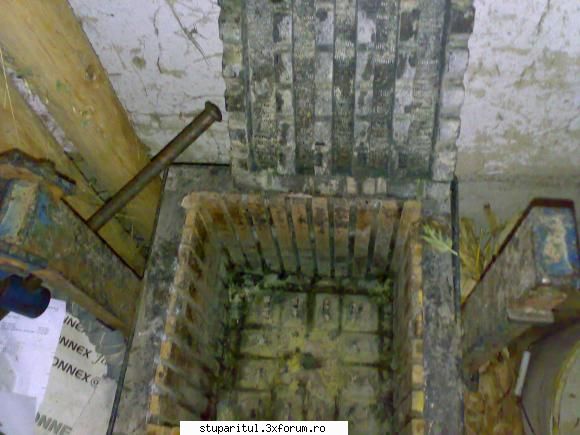 ME redus? - Vedere interior - INTRETINEREA ALBINELOR